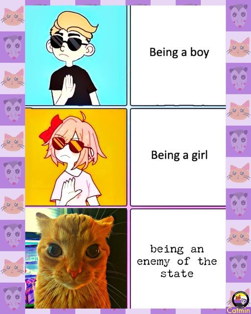 the one true gender