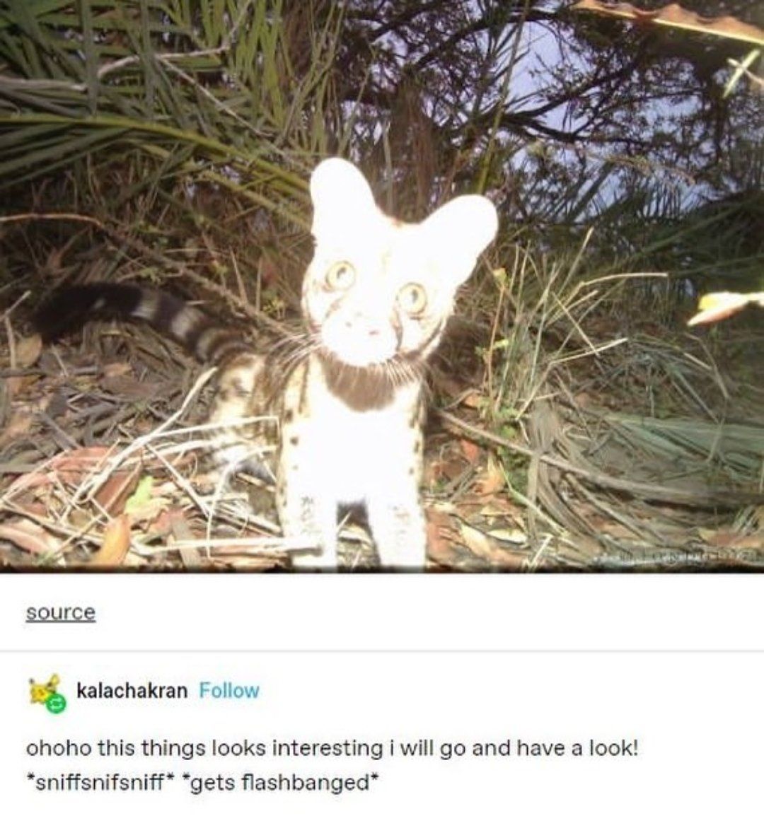 (°ロ°) !