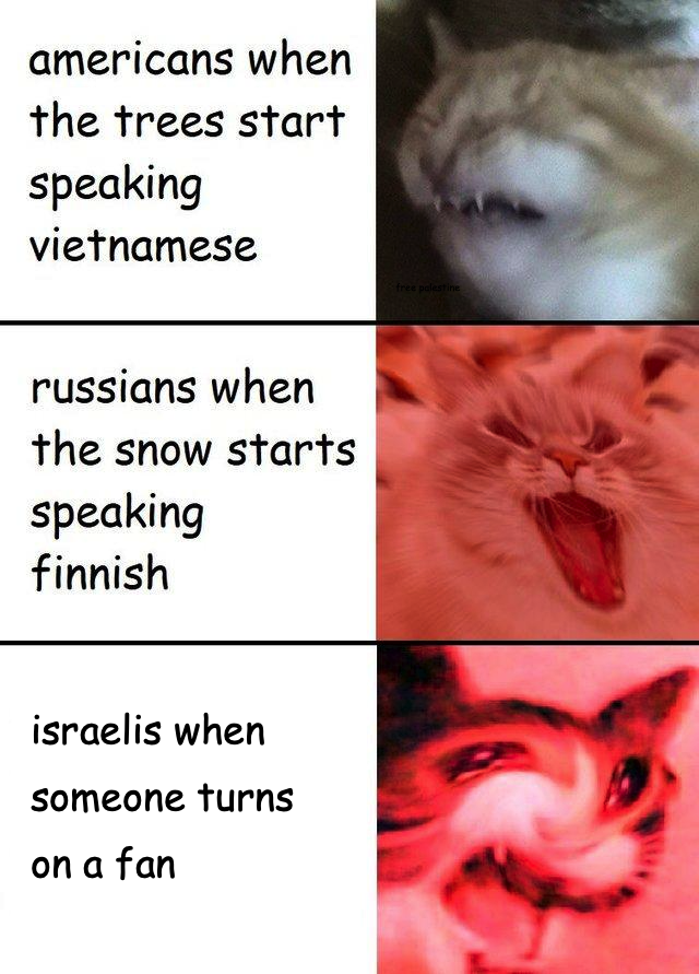 …