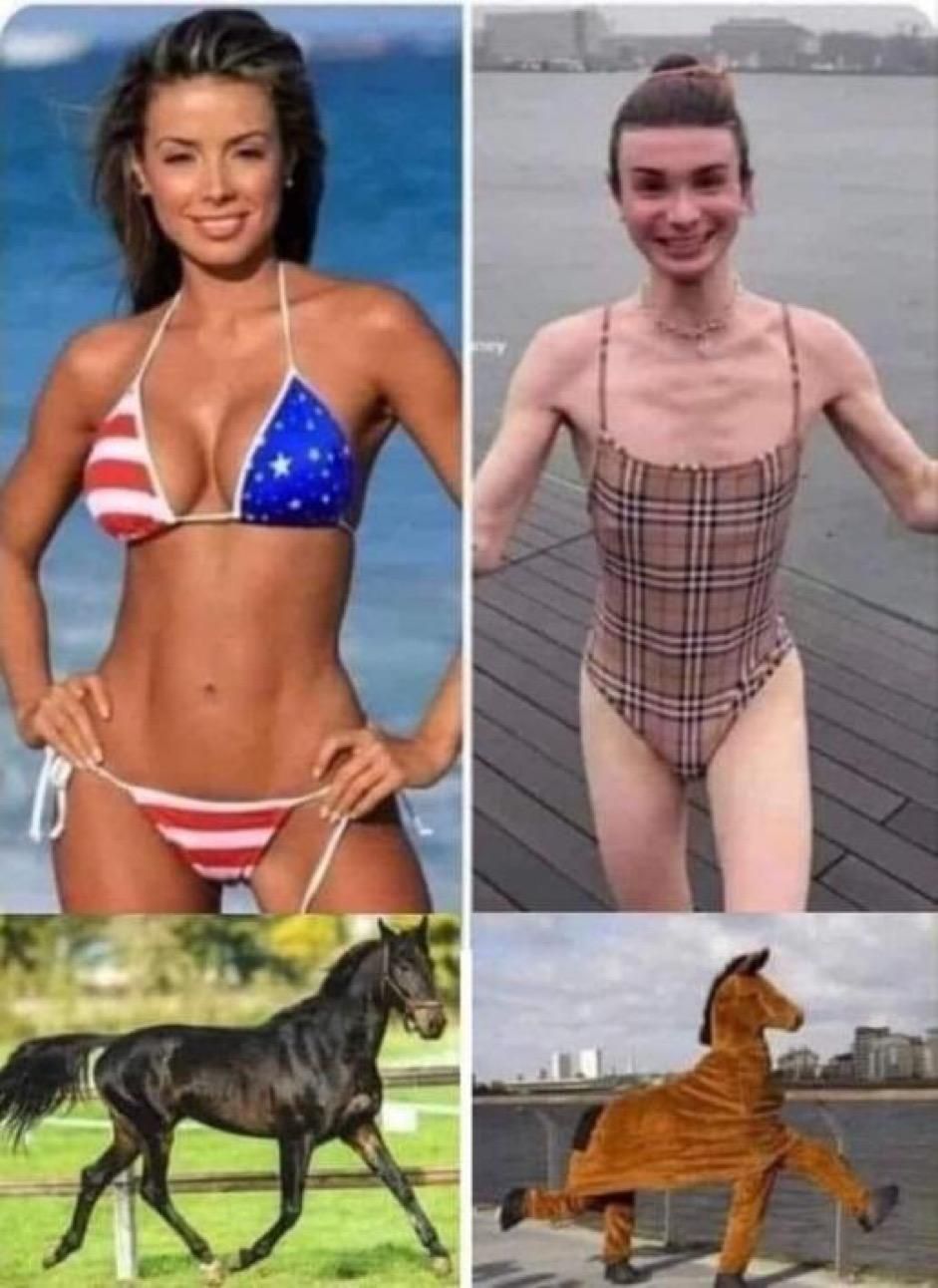 …
