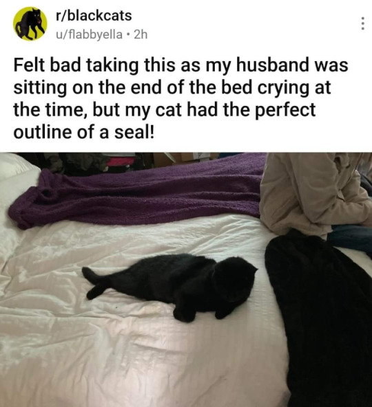 redit