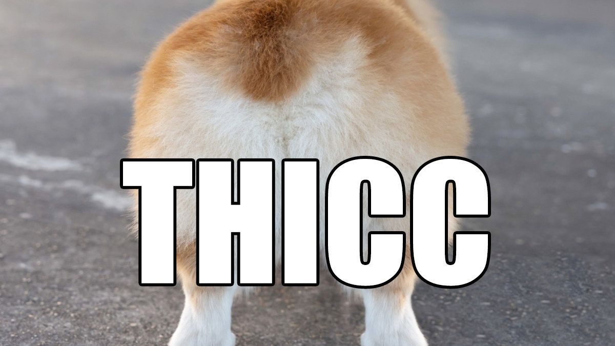 It has been 20 years, sinds thicc was used the first time online