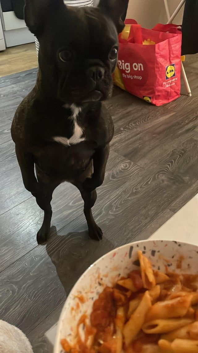 Mom said it's my turn on the Xbox