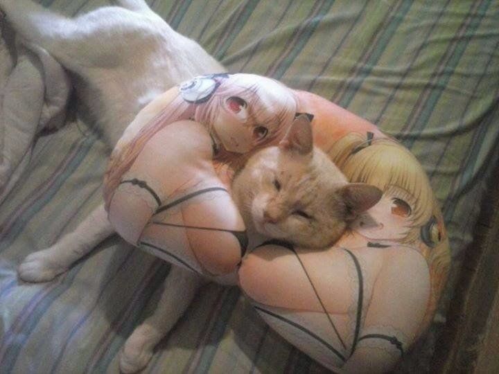 Damn it dudder! That’s MY pillow!