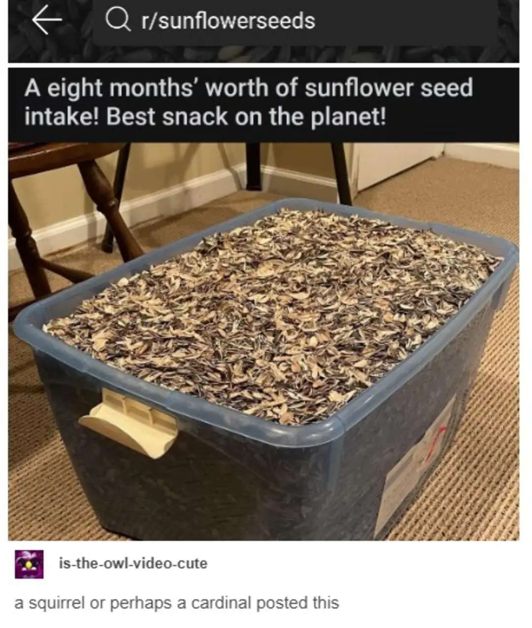 Seedmaxxing