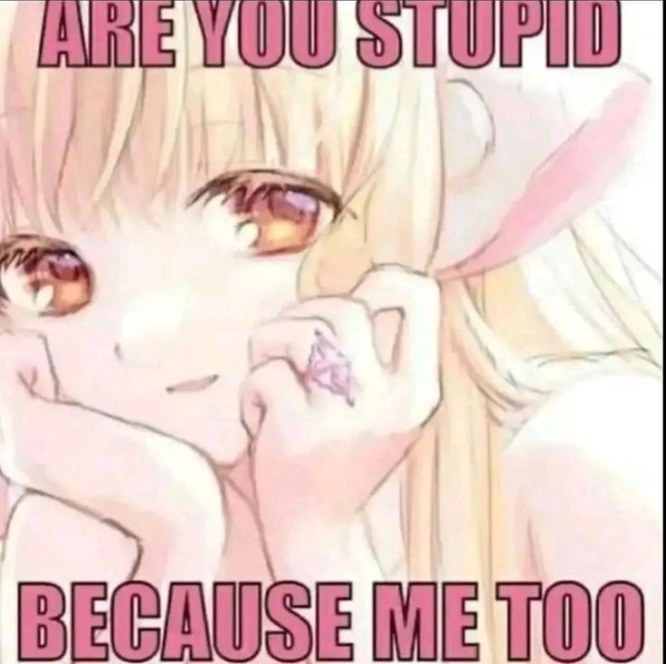 ( o˘◡˘o)