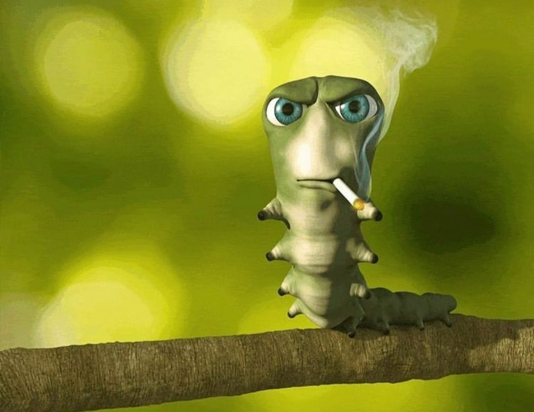 The Awesome Caterpillar