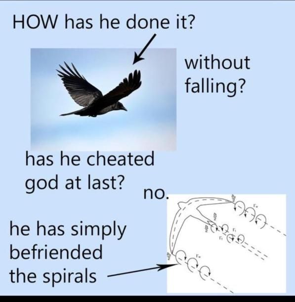 s p i r a l s