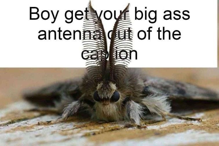 ‮