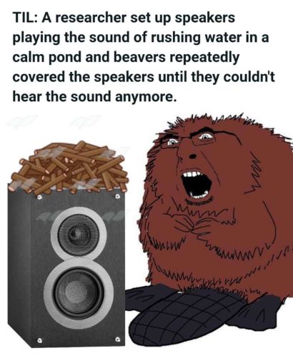 ***