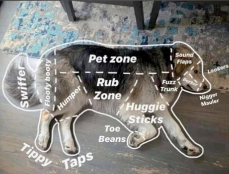 Anatomy of a good boi :3