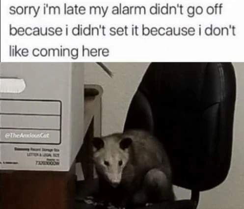 ***