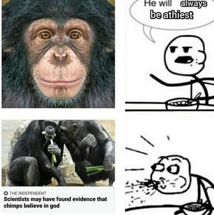 jesus died for the chimps