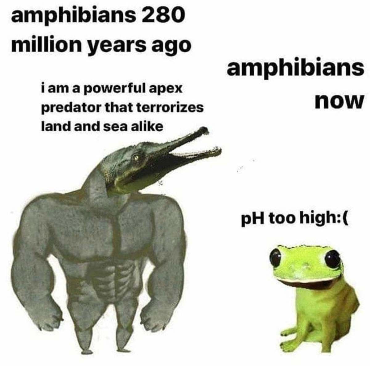 ded