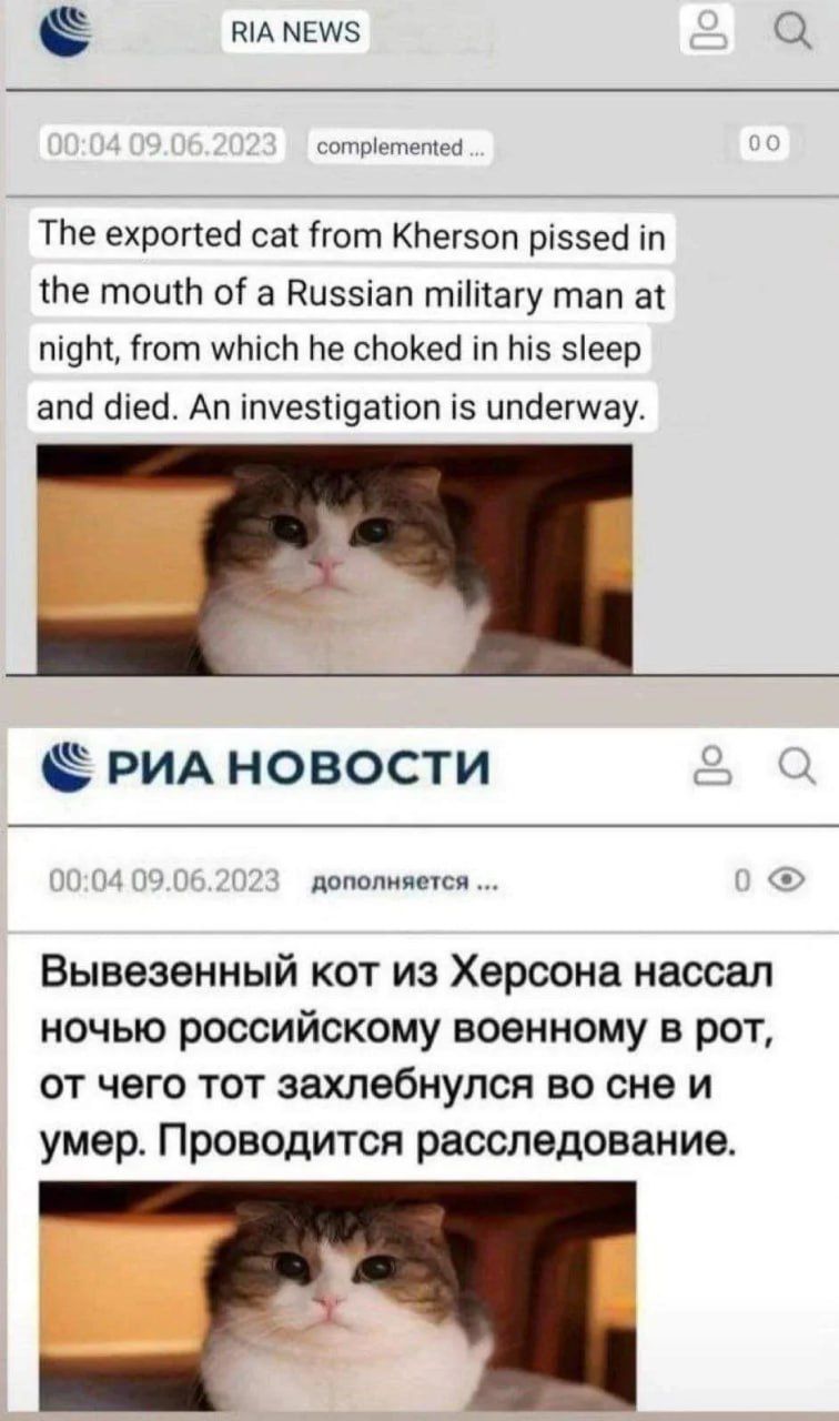 Duddy is a Ukrainebro