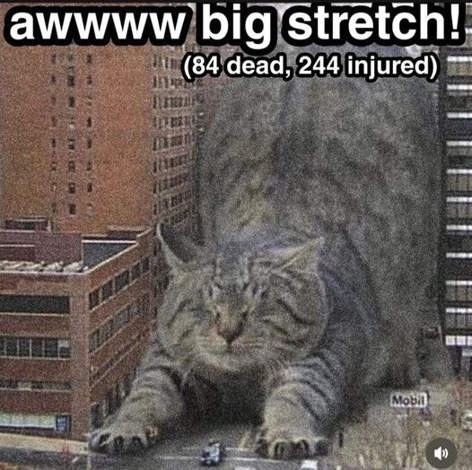 Downudder incident alpha