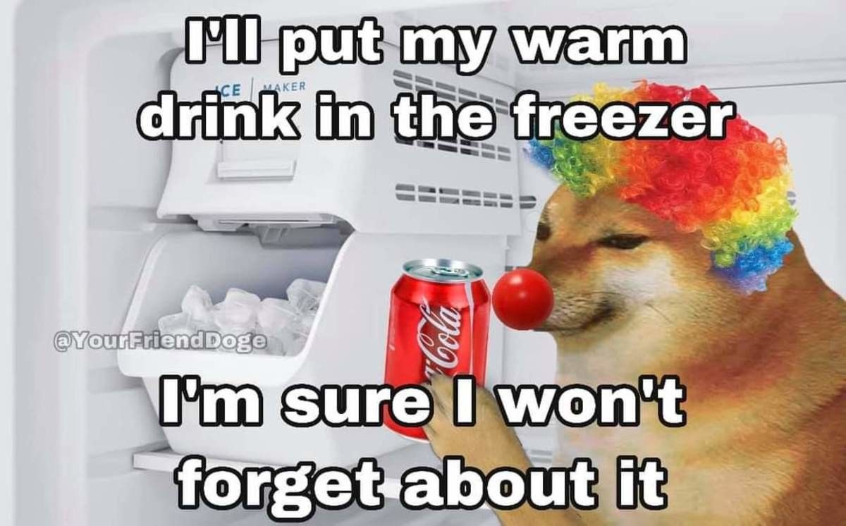 honk honk
