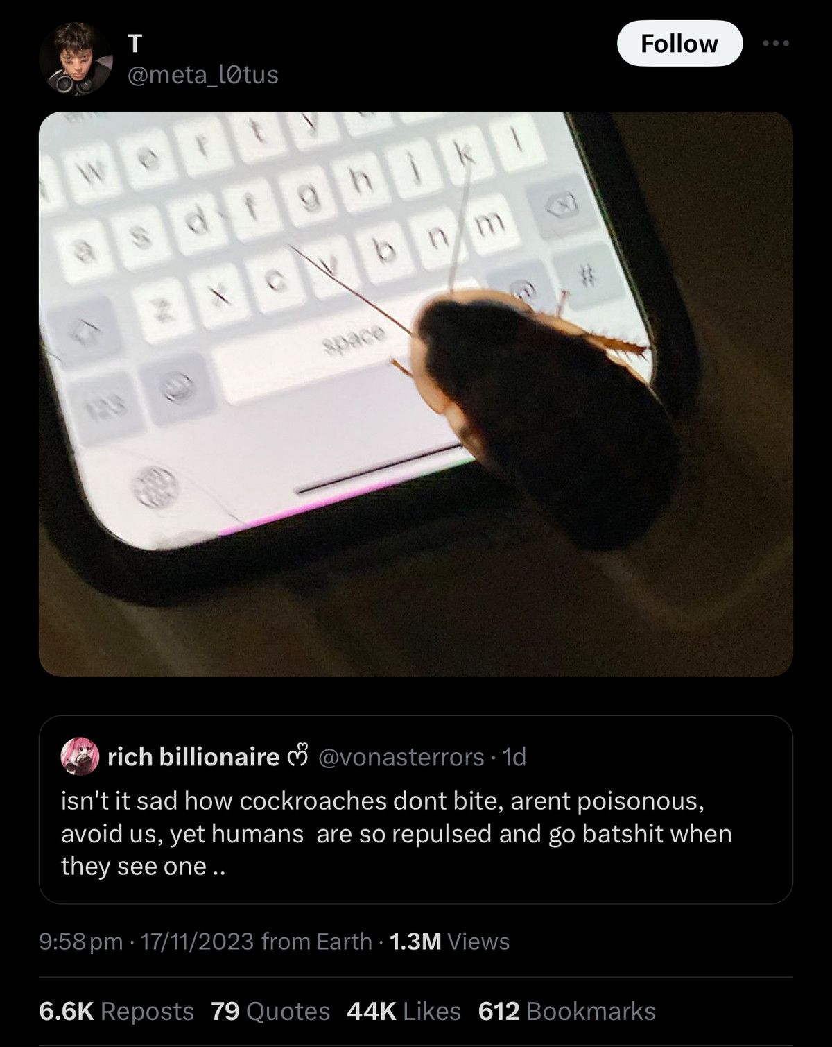 rats