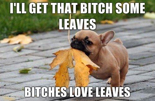 B*tches love leaves