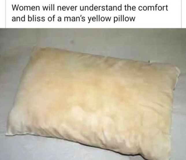 it's the best pillows
