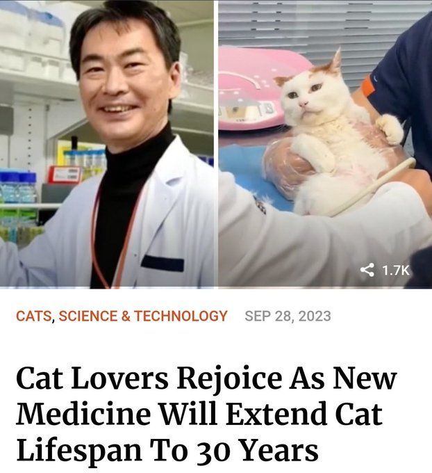 don't kys yet, you have to feed the cat for another 15 years