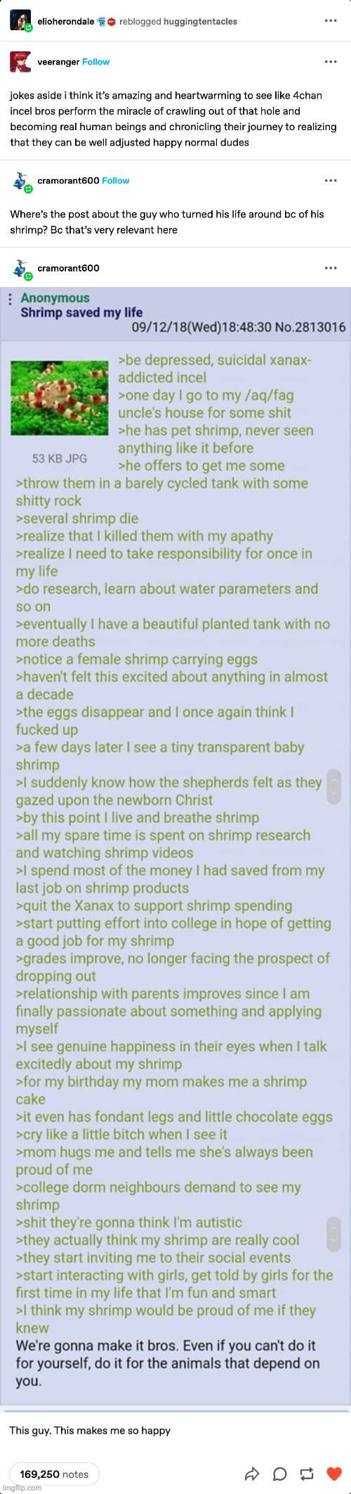 Shrimp pill