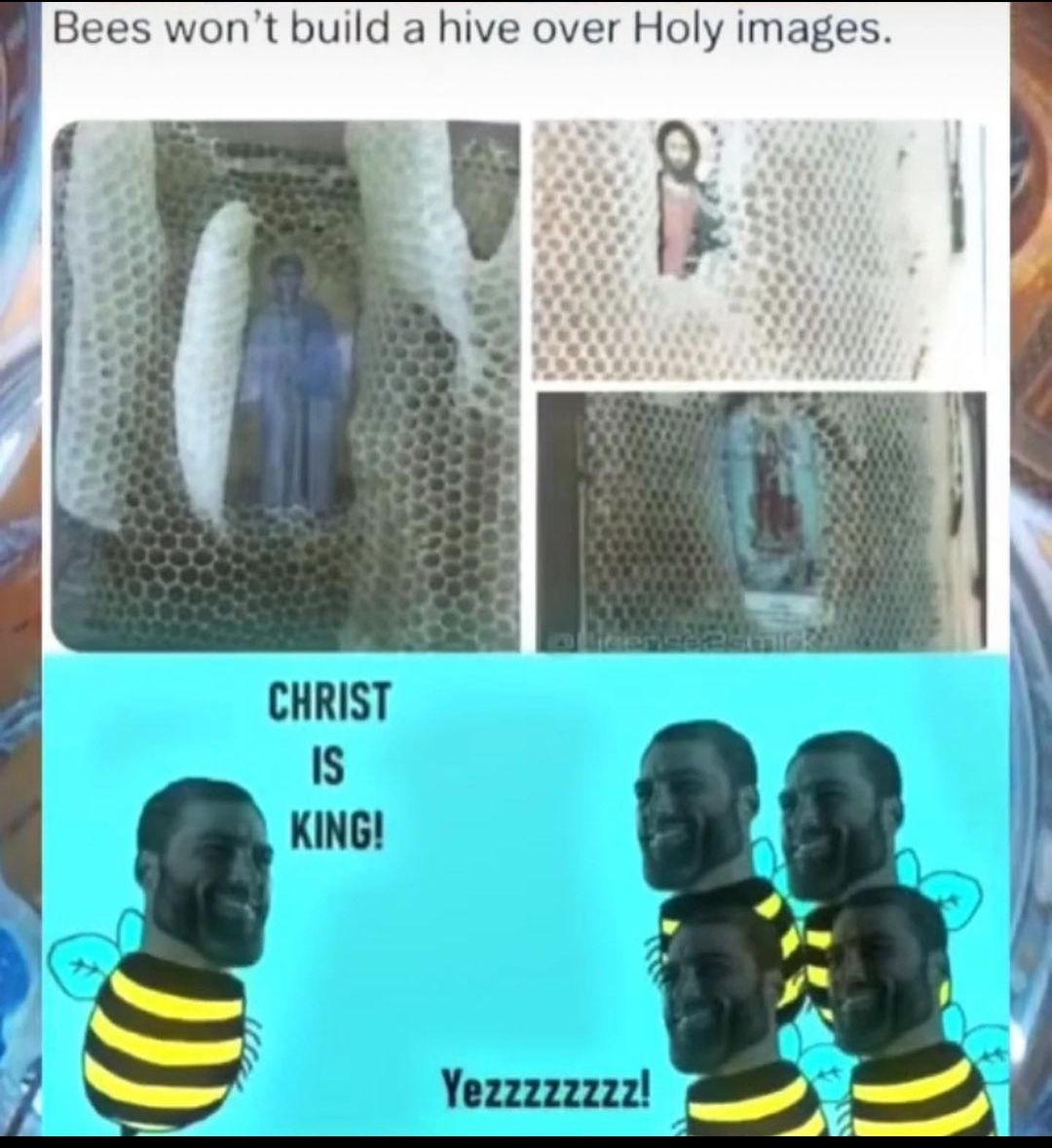 bee