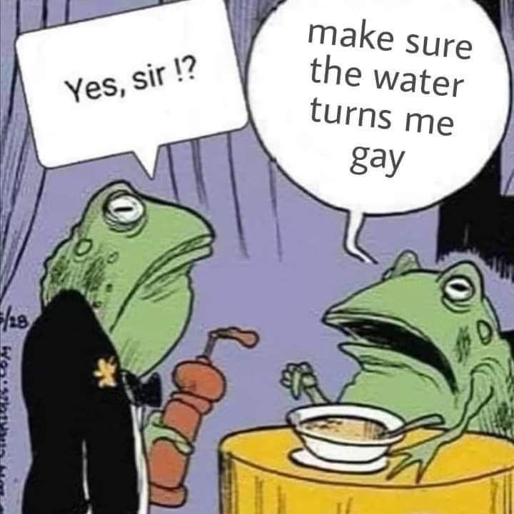 the GF in LGFBT stands for gayFroG