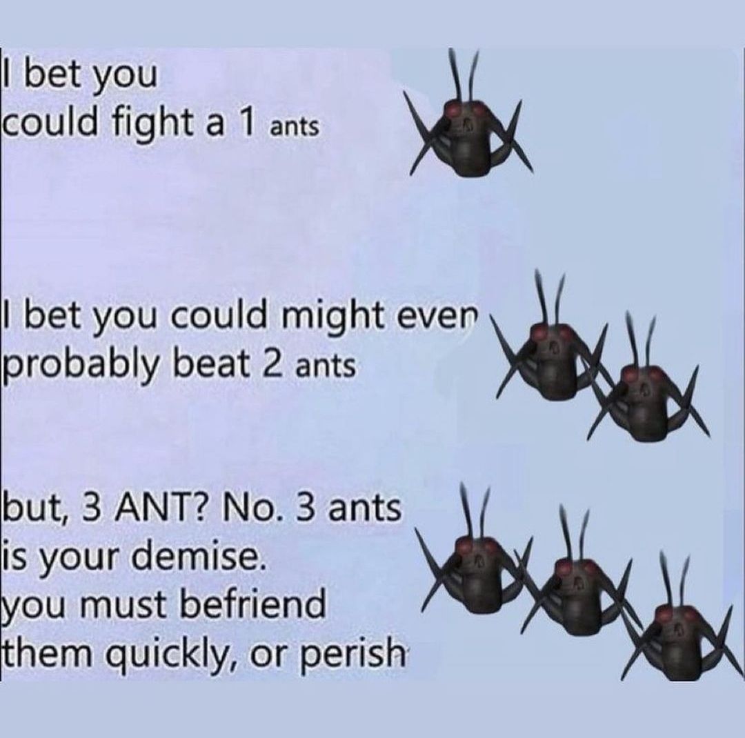 Ant