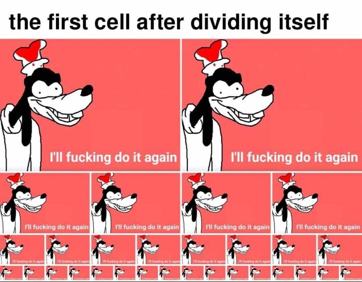and i will do it until you die