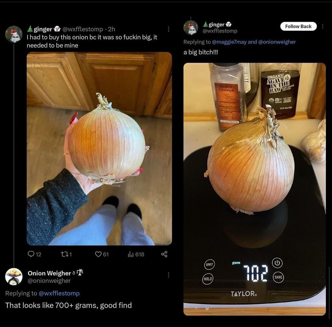 Onion