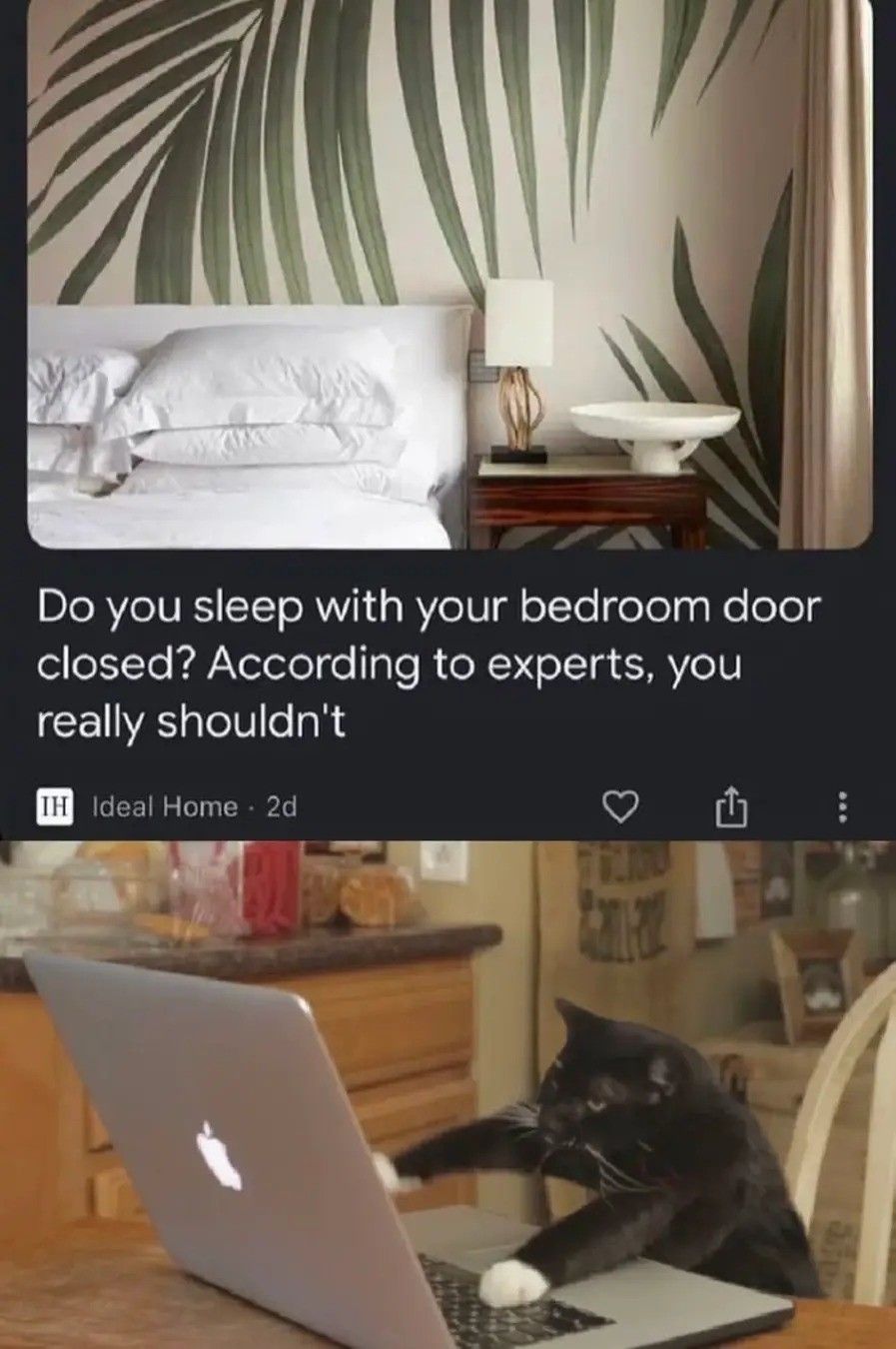 "experts?" on what? Bedroom doors?