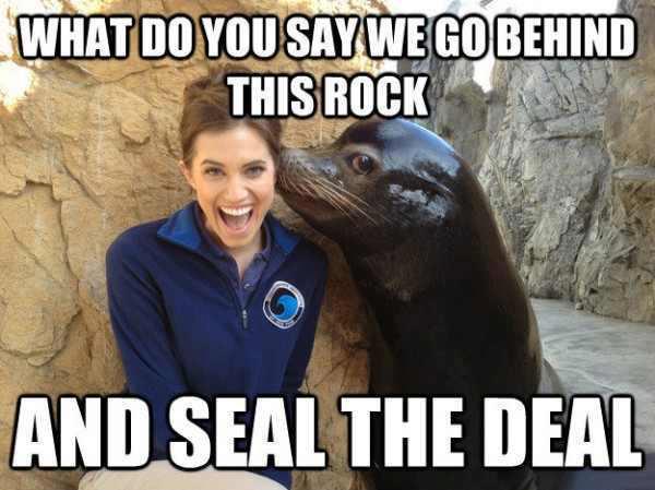 Seal wants to seal the deal