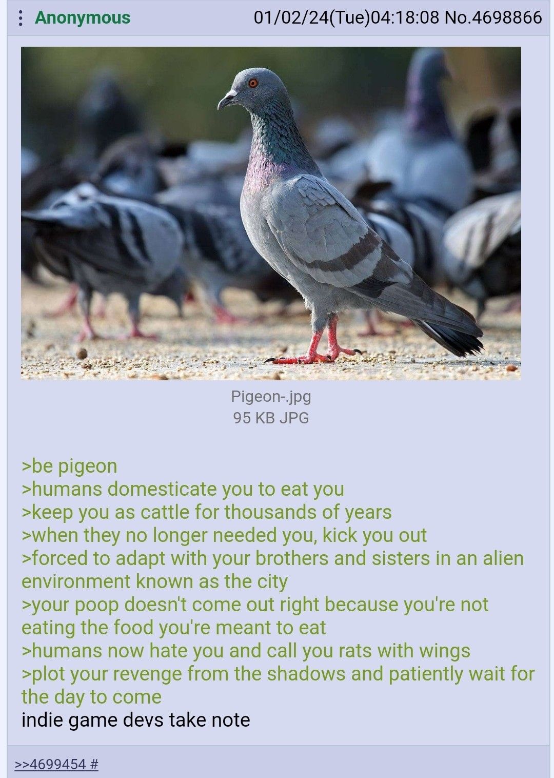 I like pigeons, theyre friendly, ***ing hate seagulls tho