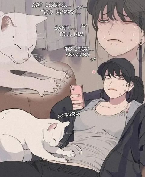 KAT EXPERIENCE