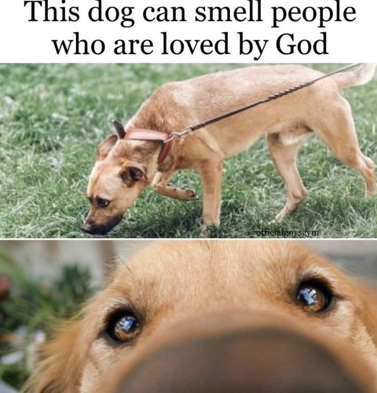 …