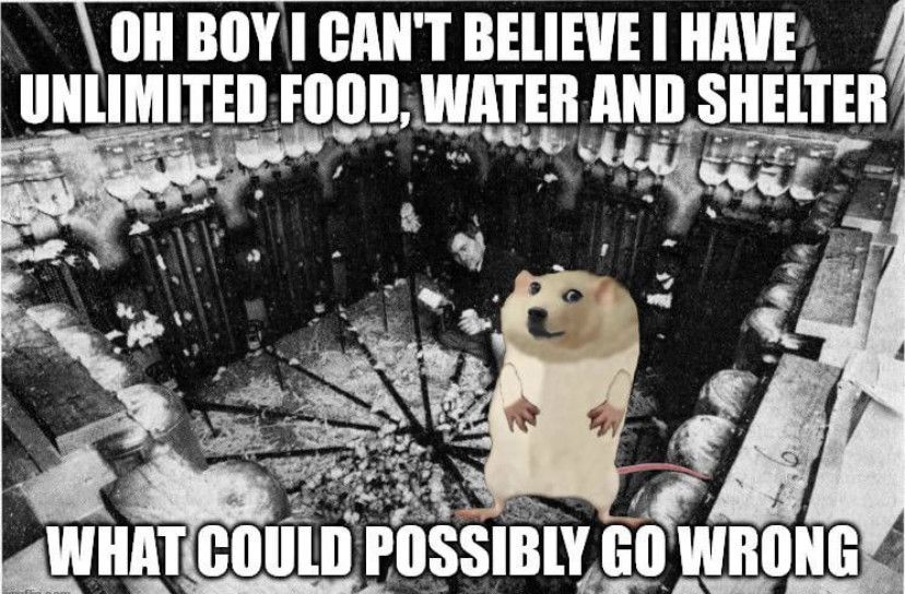 society