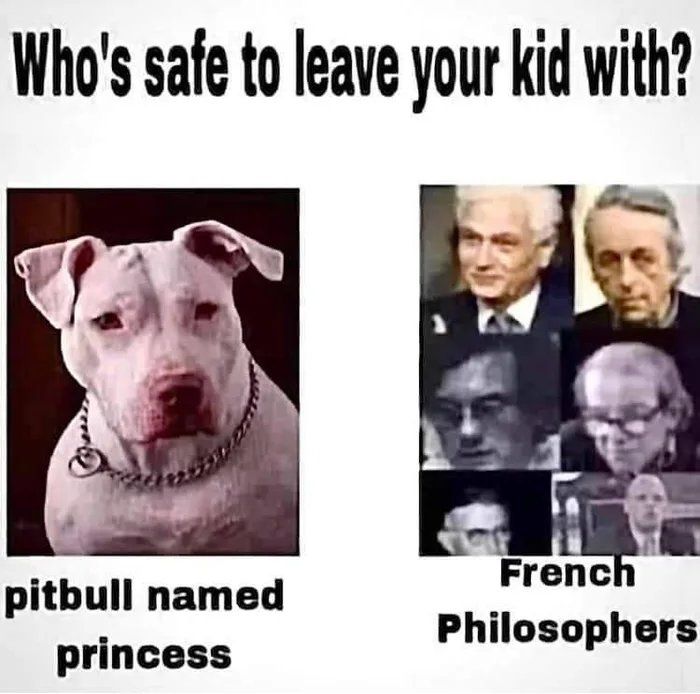 I rather have my kid ravaged by a pit bull than in presence of the French