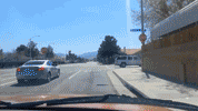 Jackass goes bananas
