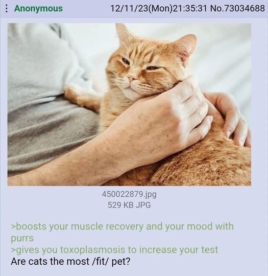 /fit/