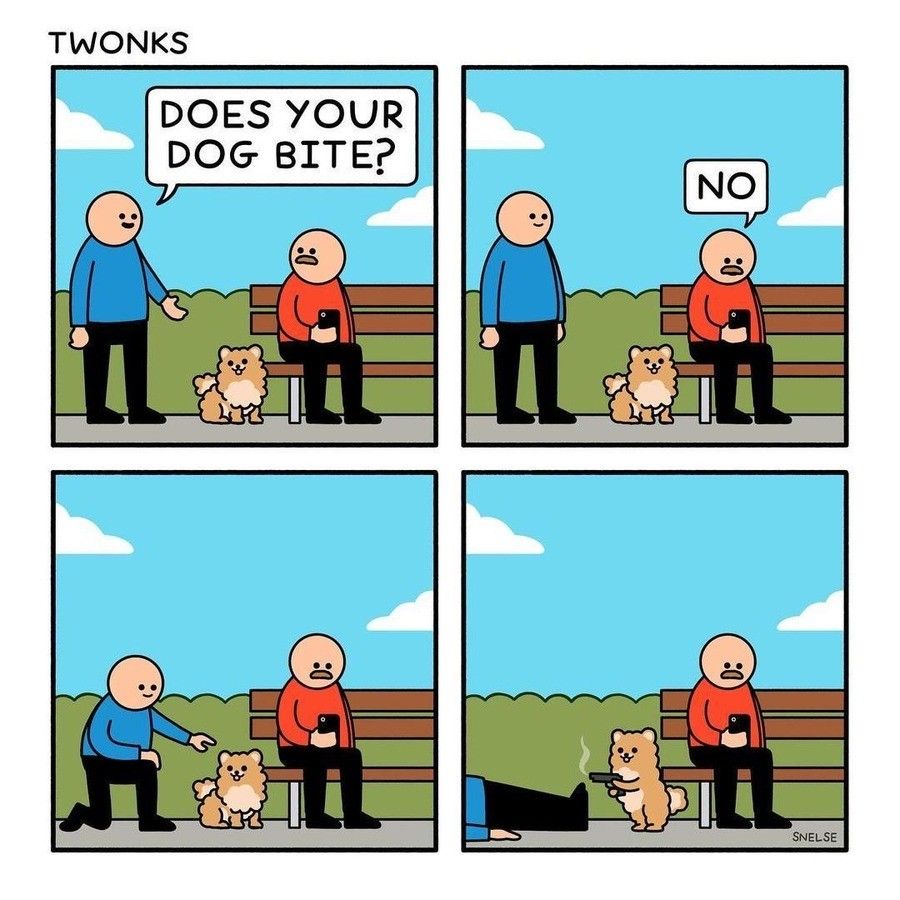 Do not the dog or the dog will