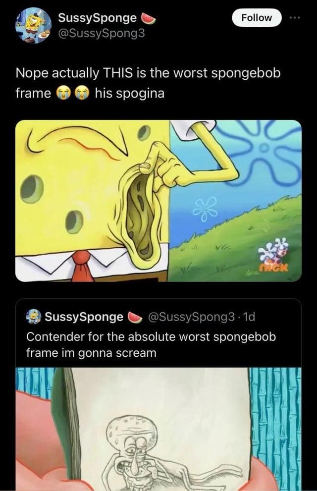 do sponges even