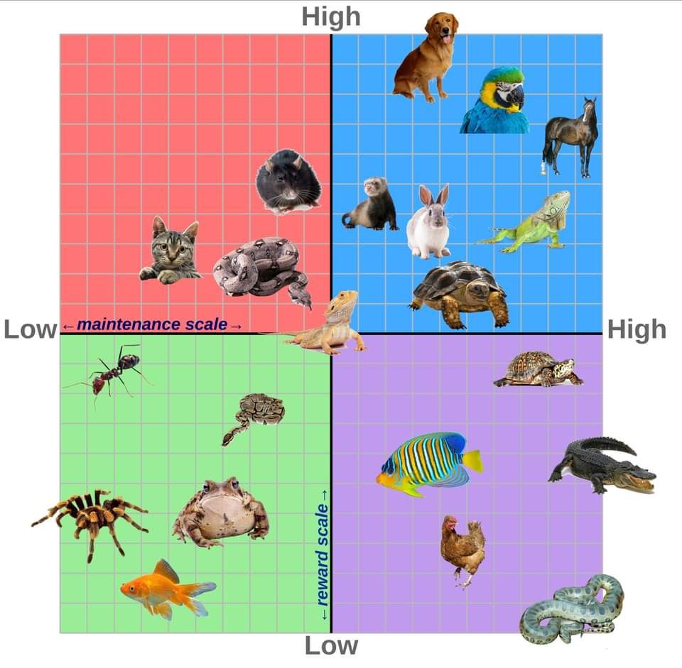 accurate political compass