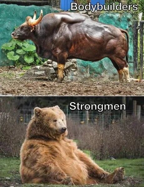 both are stronger than me