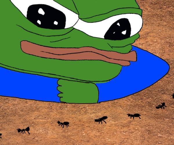 Pepe/apu a day - 759 ants