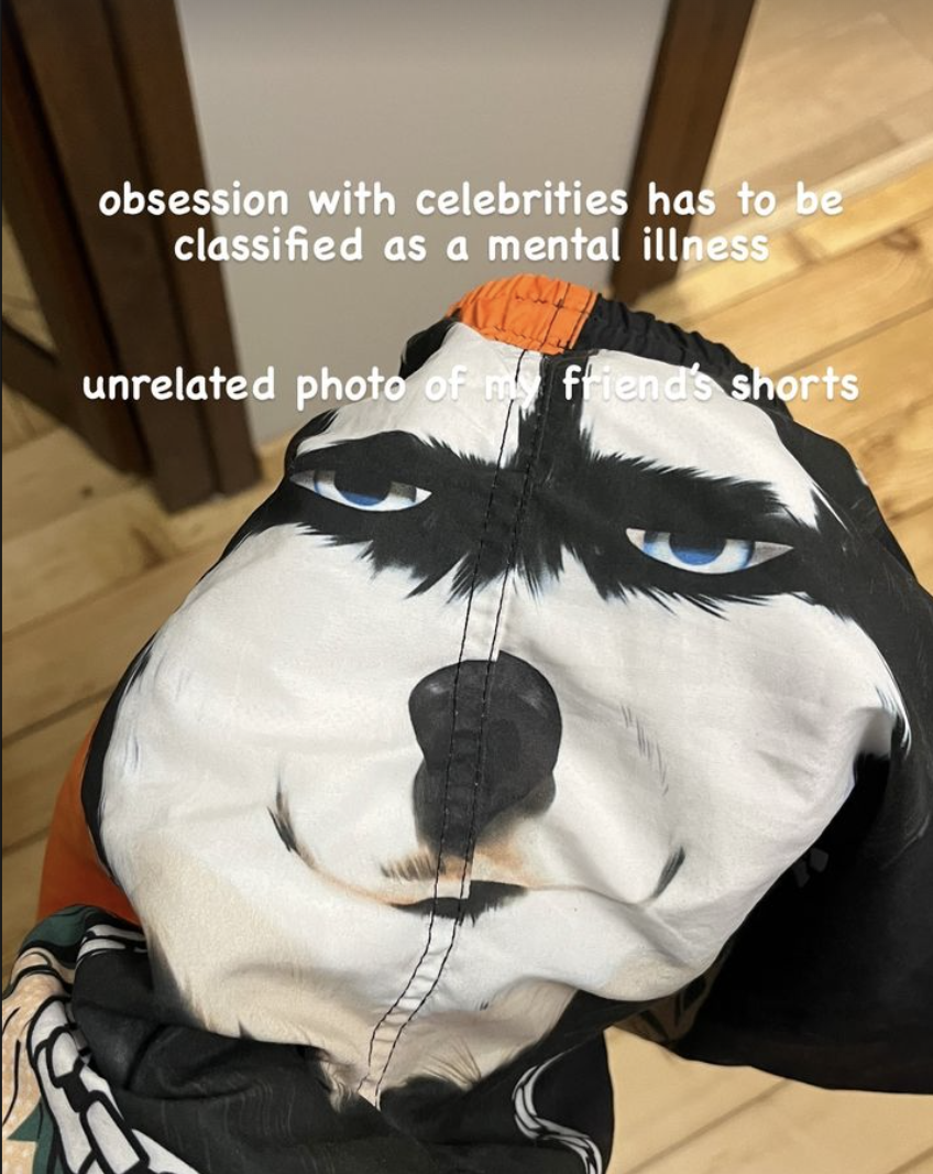 Furry fashion eh