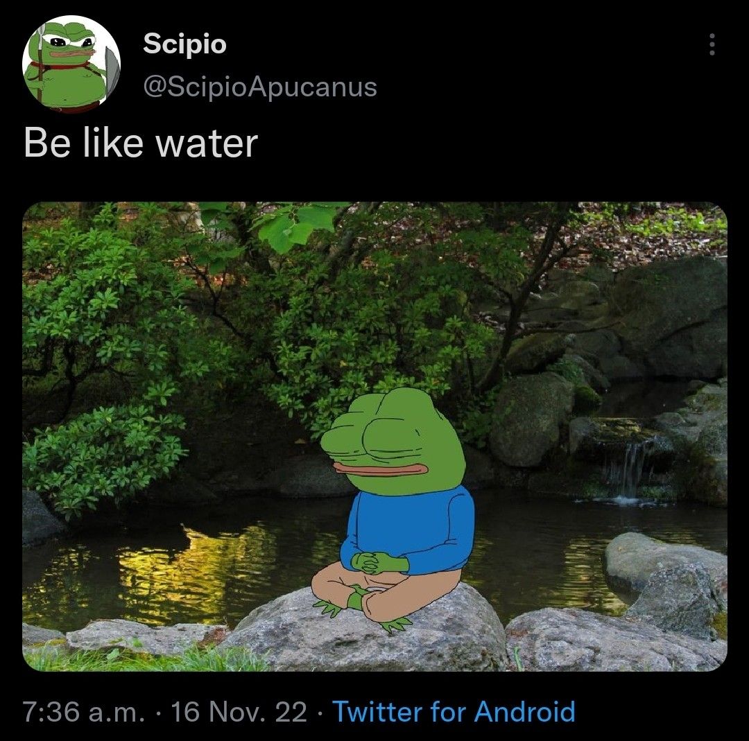 Pepe/apu a day - 764 be like water