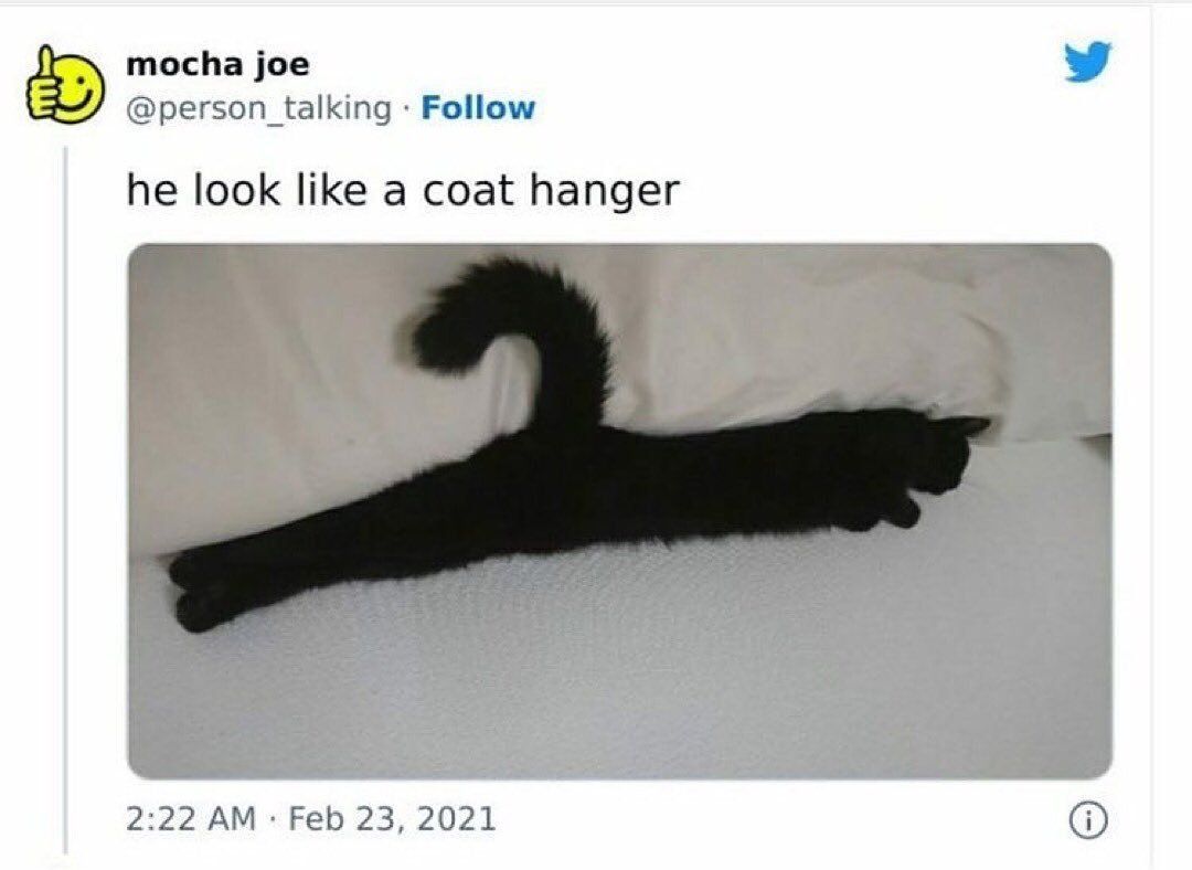 coat hanger looking a s s