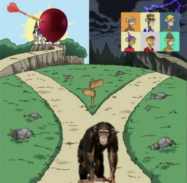 Which way monkey?
