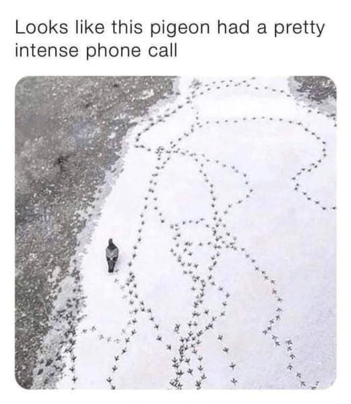 who was phone